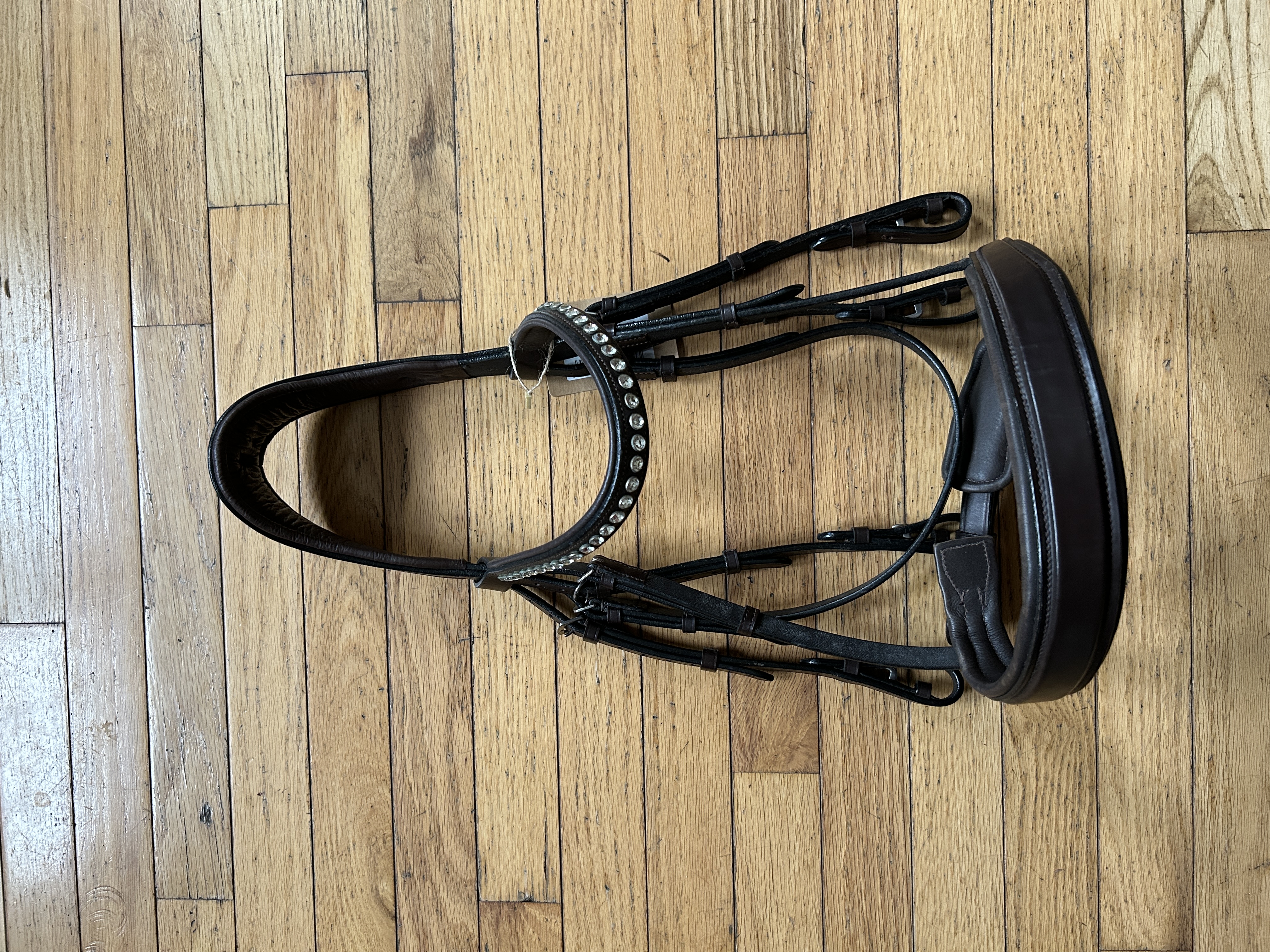 Bridles + Reins