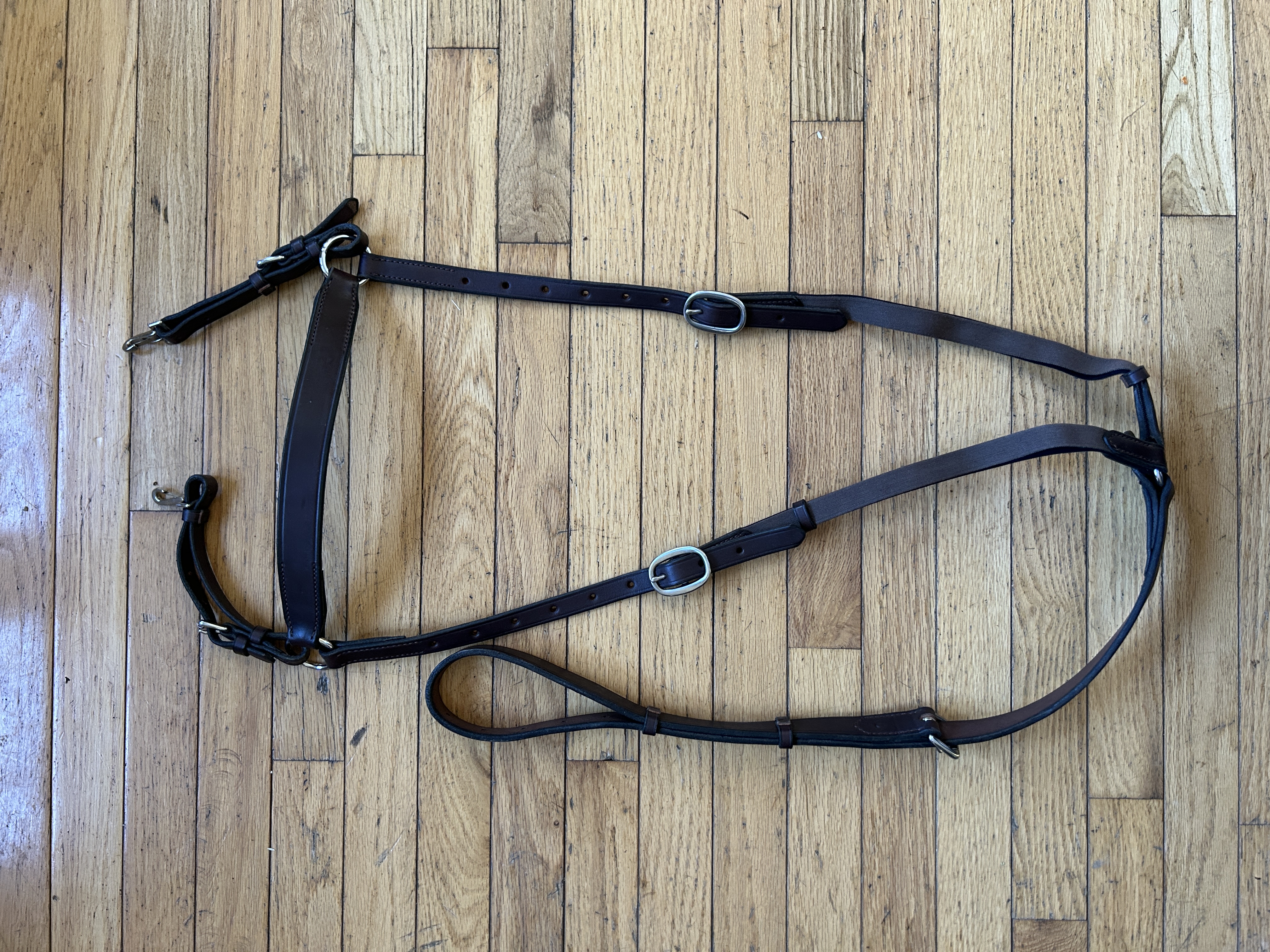 Martingales + Breastplates