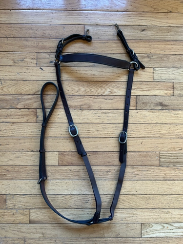 Martingales + Breastplates