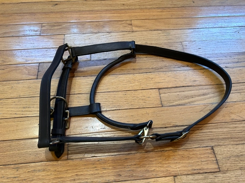 Foal Brown Gatsby Halter