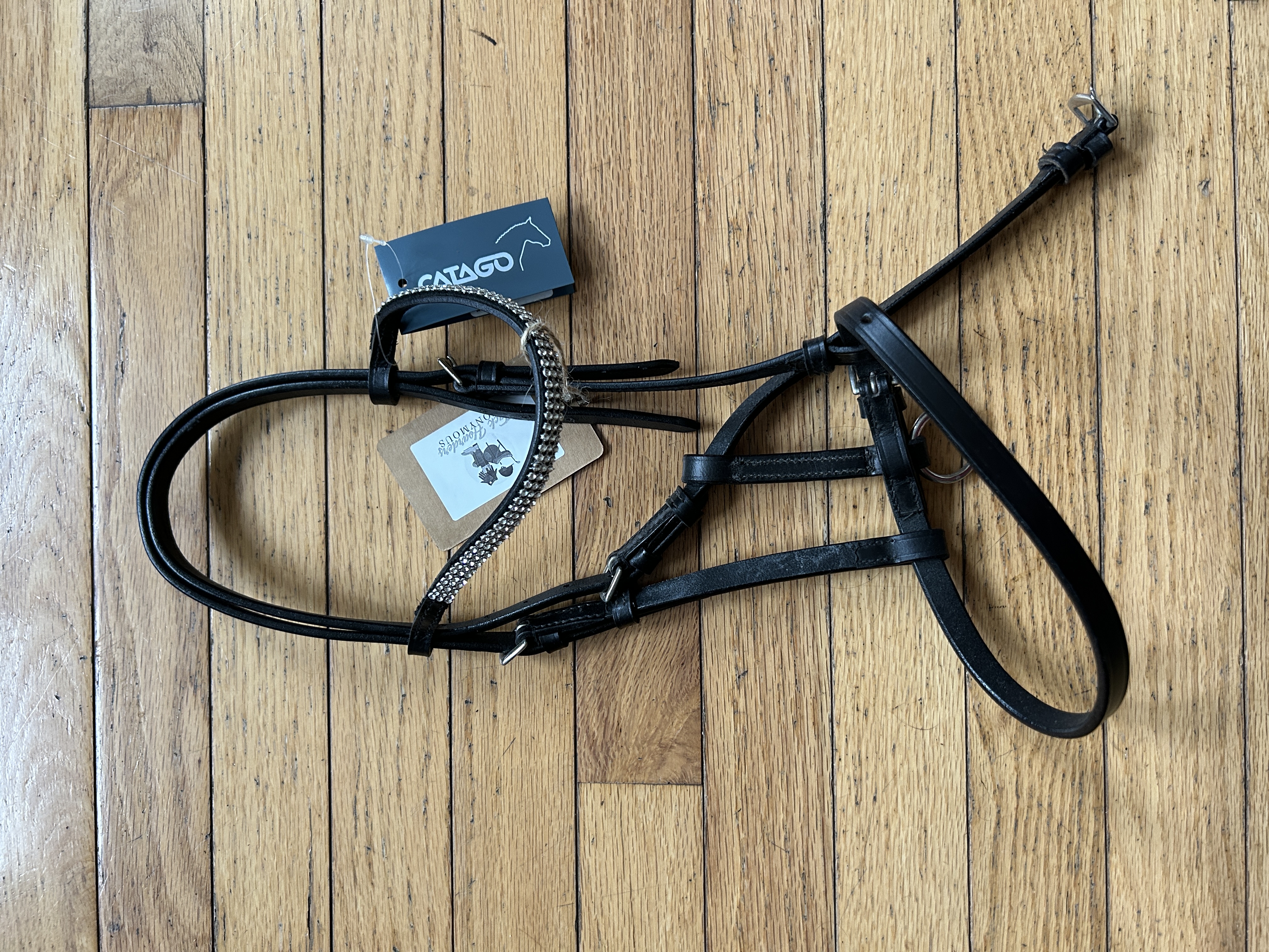 Foal Black Catago Show Halter