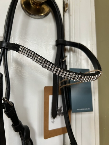 Foal Black Catago Show Halter