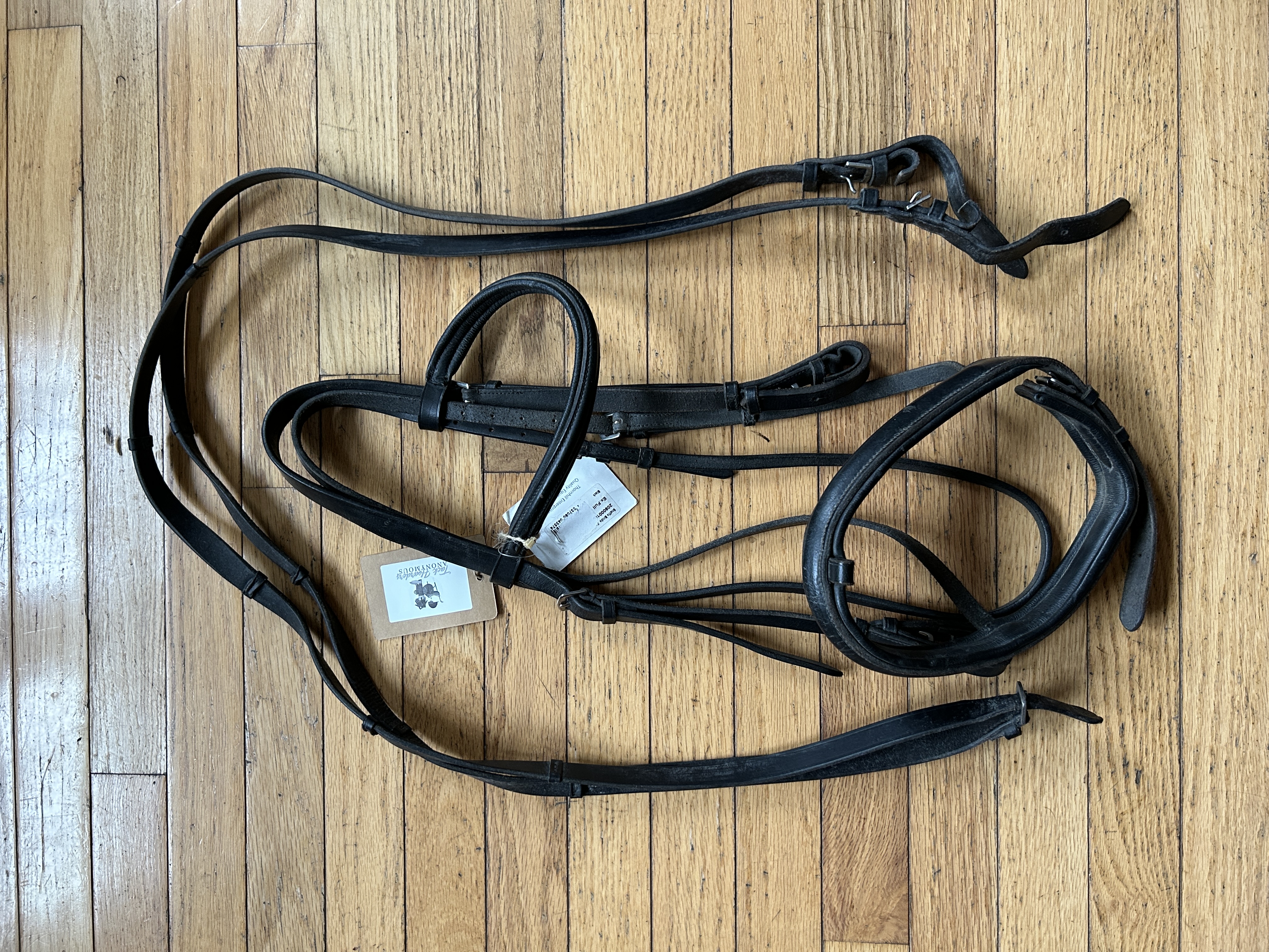 XFull Thornhill Bridle