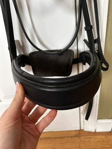 Large Devoucoux Chilberta Bridle
