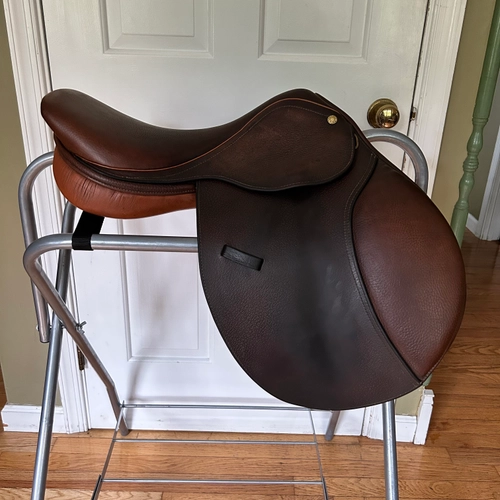 17" Collegiate Finalist