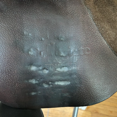 17" Collegiate Finalist