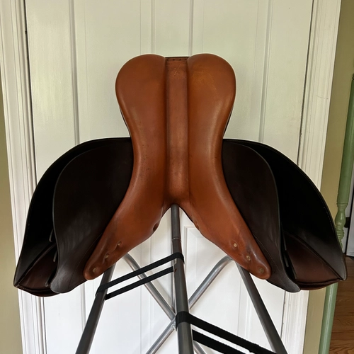 17" Collegiate Finalist