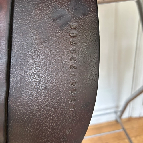 17" Collegiate Finalist