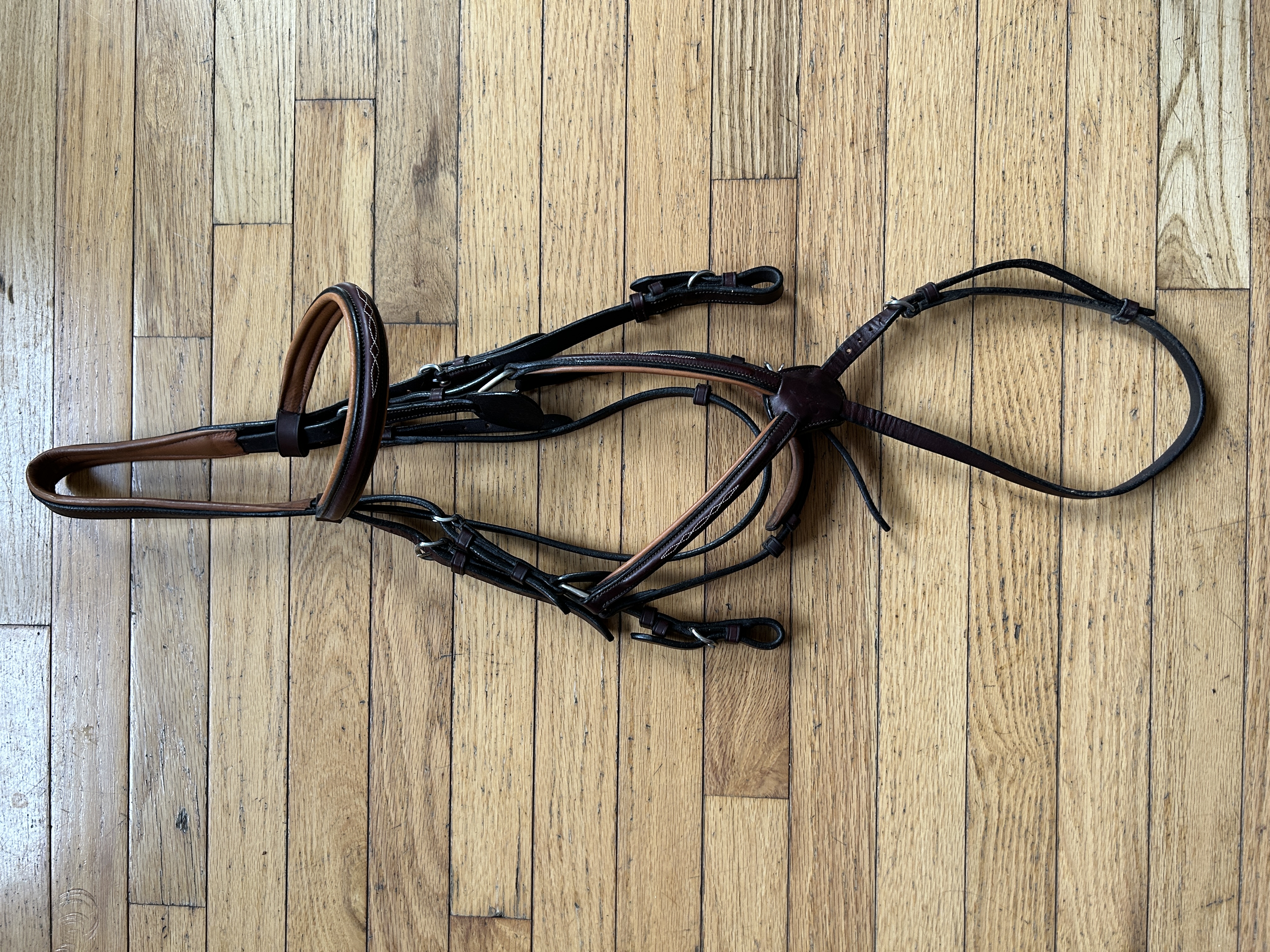 Full Vespucci Figure 8 Bridle