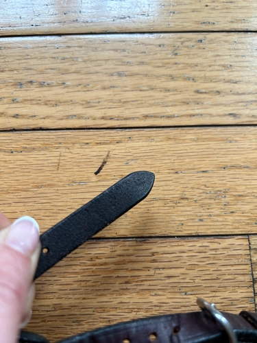 Full Vespucci Figure 8 Bridle