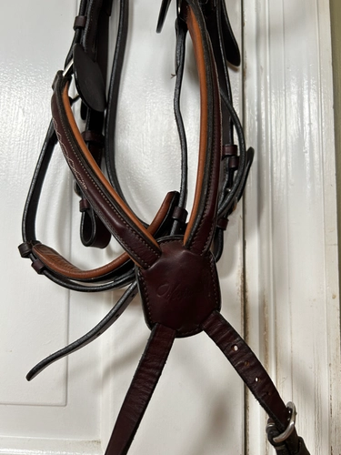 Full Vespucci Figure 8 Bridle