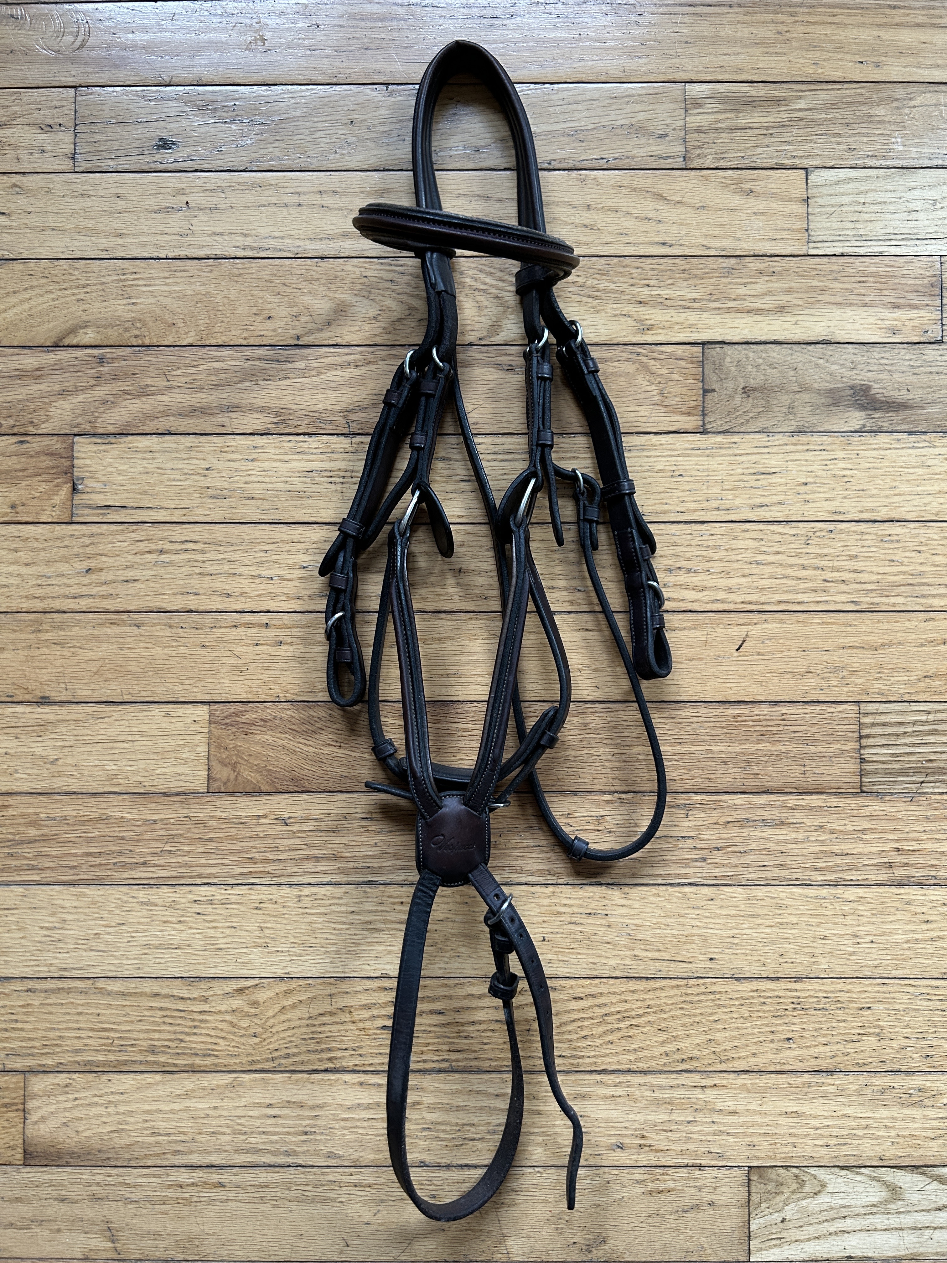 Cob Vespucci Figre 8 Bridle