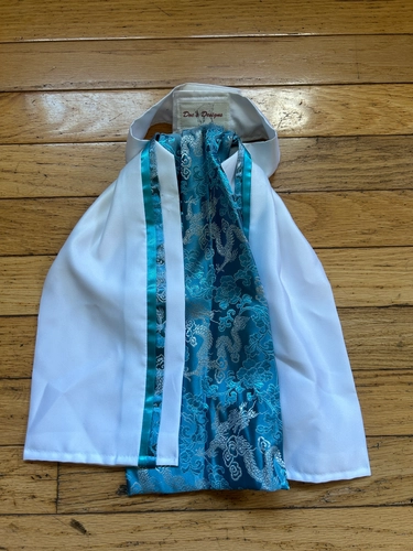 Stock Tie Silk White W/ Teal Dragon Pattern