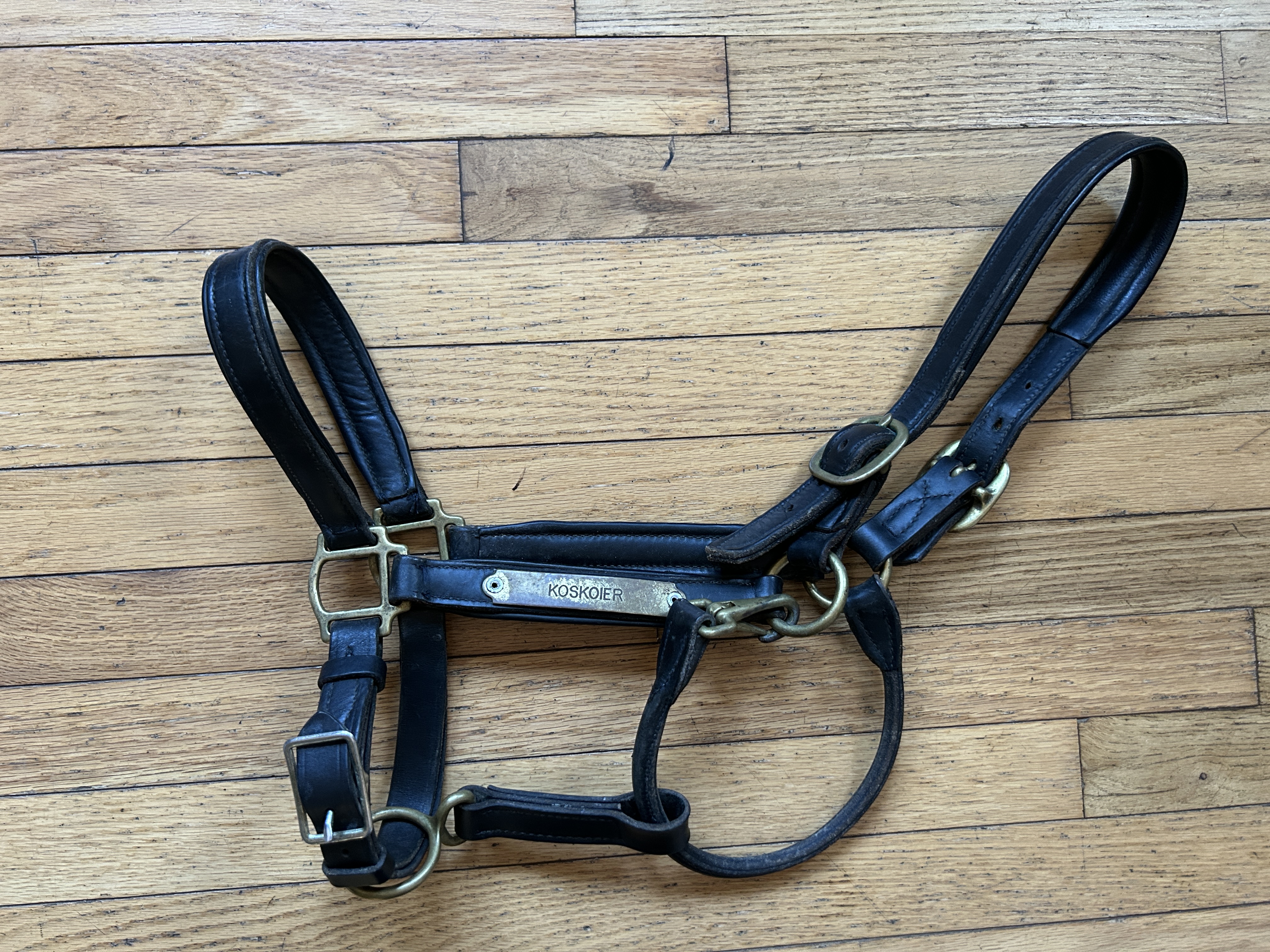 Horse Brown Perris Halter