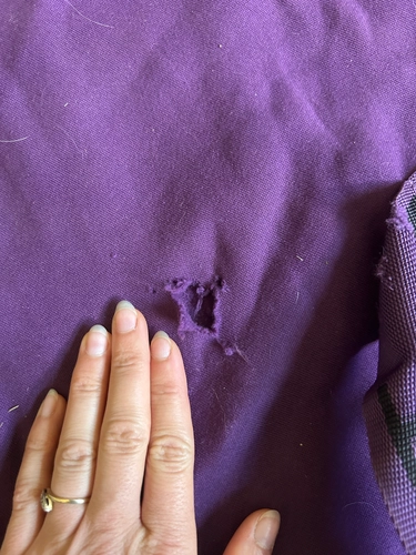 72-76" Purple Centaur Cooler