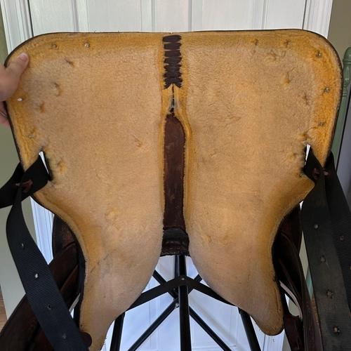 15.5" Circle Y Reiner