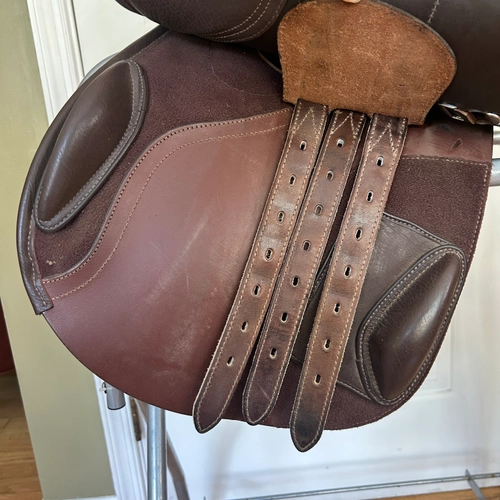 16.5" Bates Caprilli 