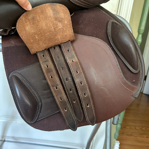 16.5" Bates Caprilli 