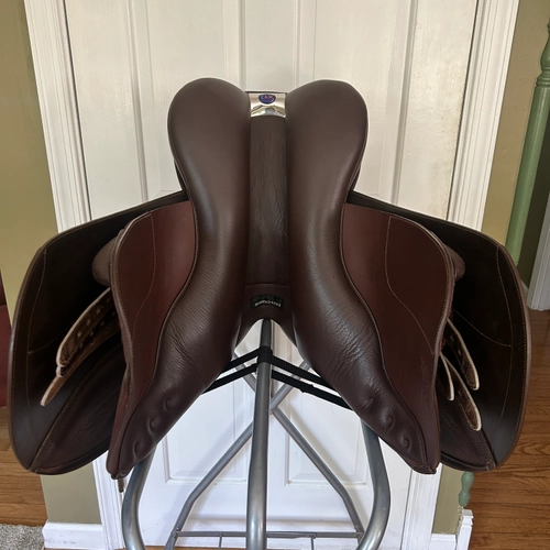 16.5" Bates Caprilli 