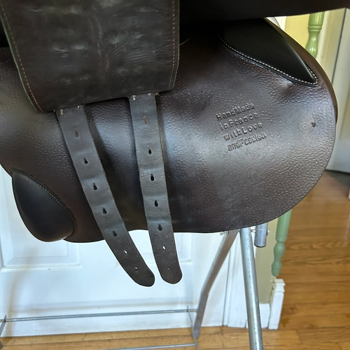 16.5" Voltaire Palm Beach