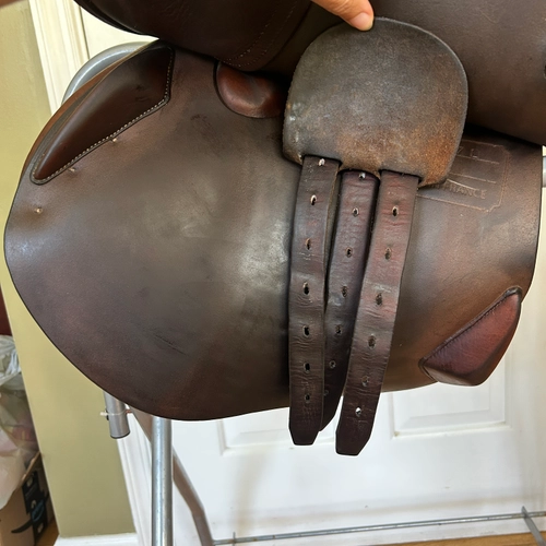 17" Antares Hampton Classic