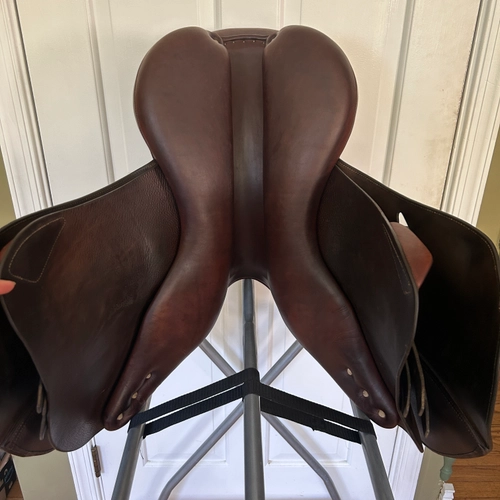 17" Antares Hampton Classic