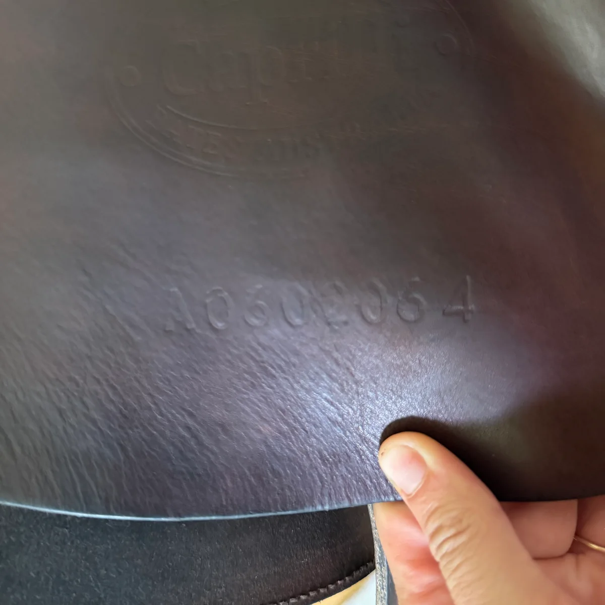 17" Bates Caprilli