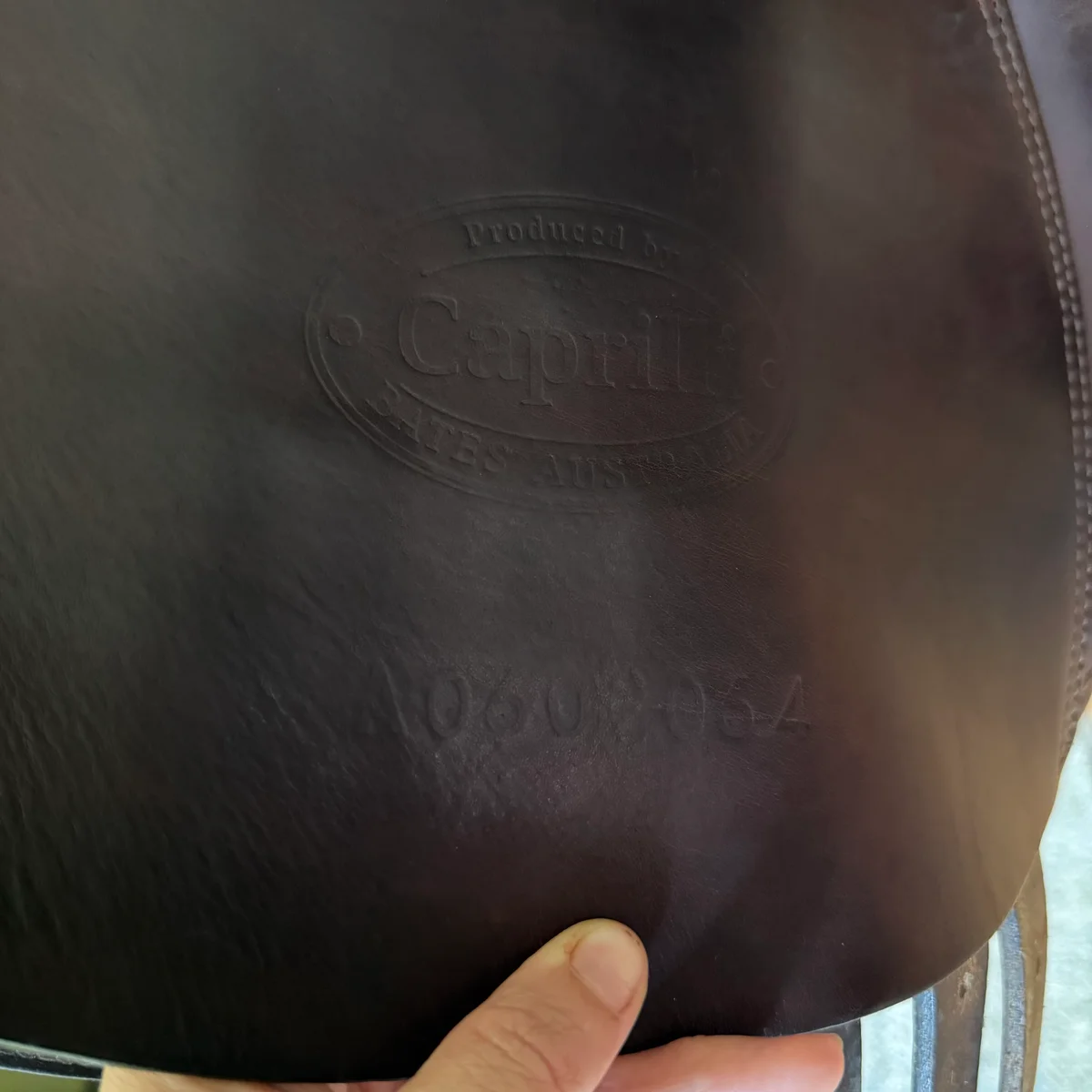 17" Bates Caprilli