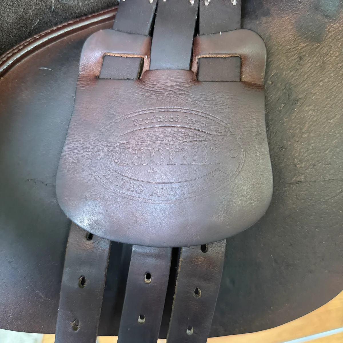 17" Bates Caprilli