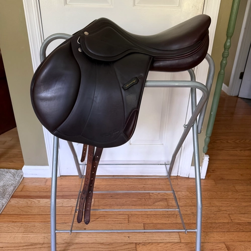 17" Amerigo Vega