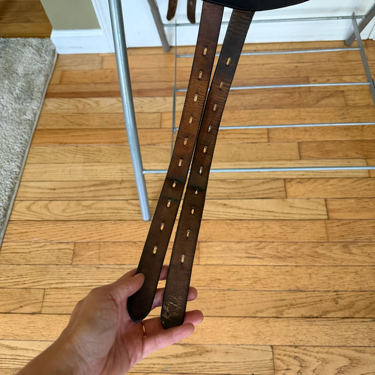 17" Amerigo Vega