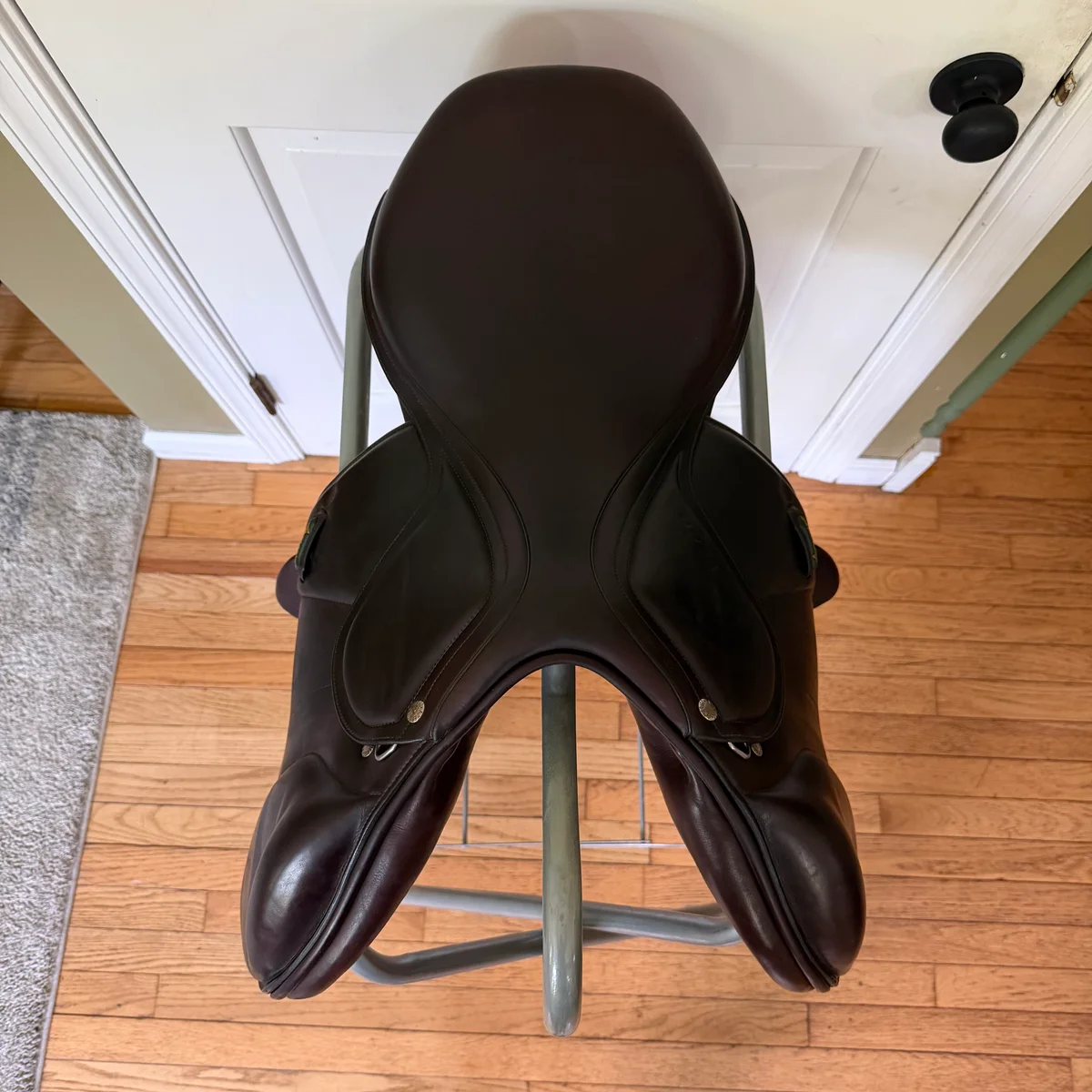 17" Amerigo Vega