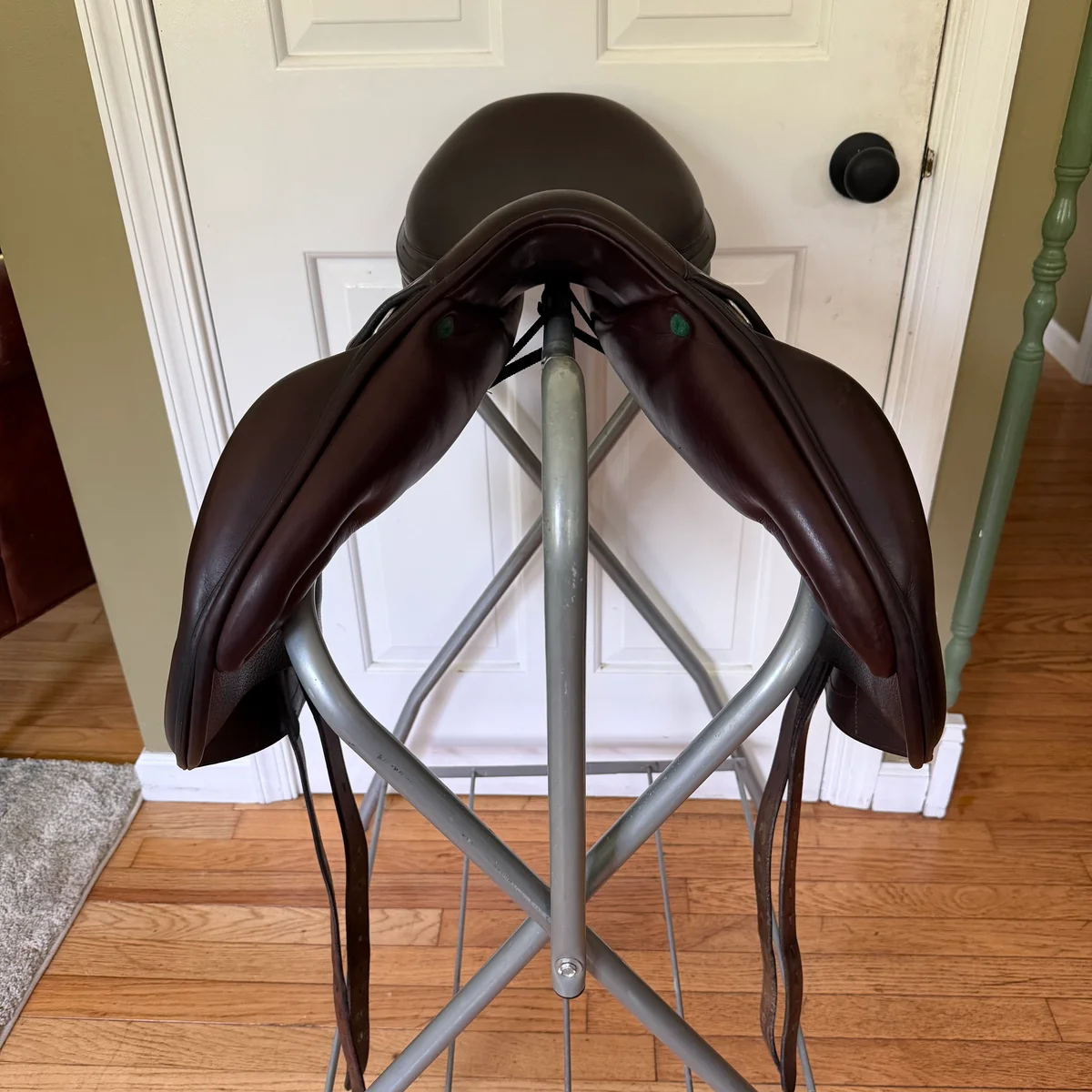 17" Amerigo Vega
