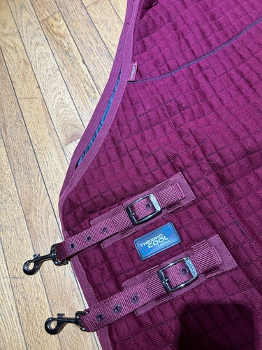 81" Burgundy LeMieux Thermo Cool Cooler