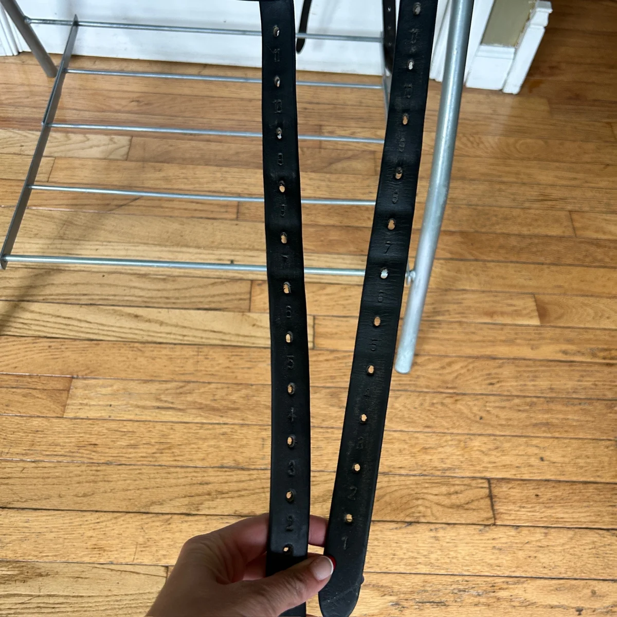 17.5" Custom Saddlery Icon Flight